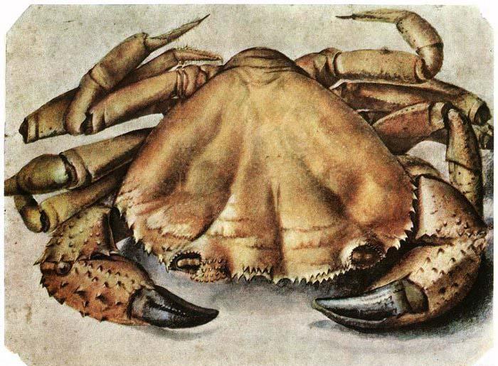 Albrecht Durer Lobster 1495 Watercolour and gouache oil painting image